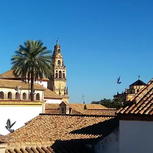 La Mirada De La Juderia Appartamento Cordova